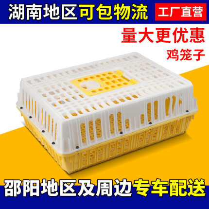 速发塑料鸭笼塑料鸡笼周转箱加高成鸡成鸭运输笼家禽养殖笼厂家直