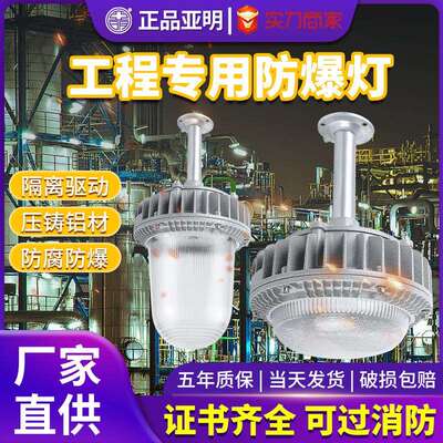 国标LED防爆灯工厂厂房灯罩仓库灯隔爆型灯防腐加油站专用照明灯