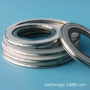 Flygt 赛莱默飞力潜水排污泵配件多种垫片