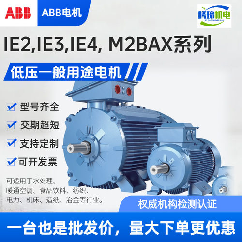 ABB电机IE2M2BAX100LA现货