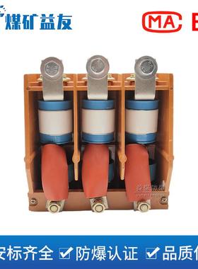 CJZ-300/1140交流真空接触器低压交流接触器