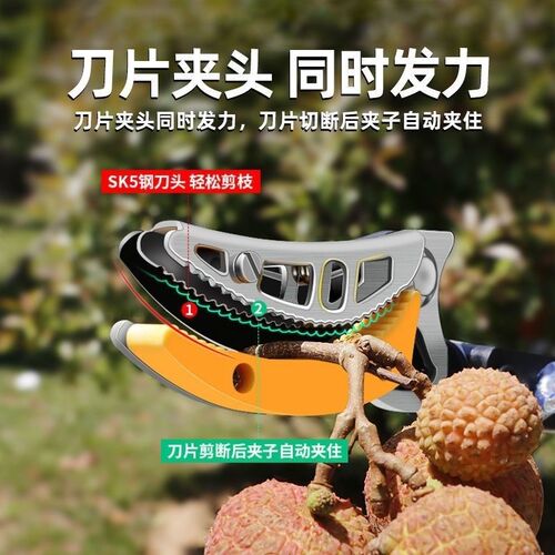 热销多功能加长伸缩果园采摘高枝剪摘果剪剪刀龙R眼荔枝桂圆高空