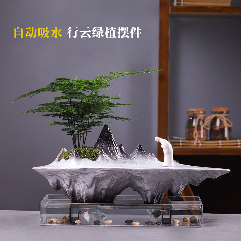 热销文竹盆景植物办公室内四季常青微景观绿植P好养桌面摆件创意