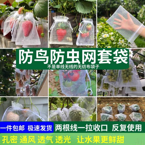 热销水果套袋防虫防鸟纱网袋草莓B套袋葡萄透气网套袋无花果番茄
