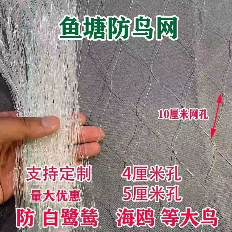 热销鱼塘专用g大网孔防鸟网泥鳅鱼苗青蛙龙虾养殖防护网养殖天网