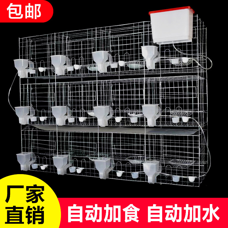 热销鸽子笼d家用特大号鸽子笼子繁殖配对养殖笼肉种鸽元宝养鸽子图片