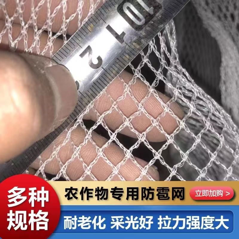 热销果园专用防护网防雹网防鸟网葡萄园果S树防护网防冰雹网