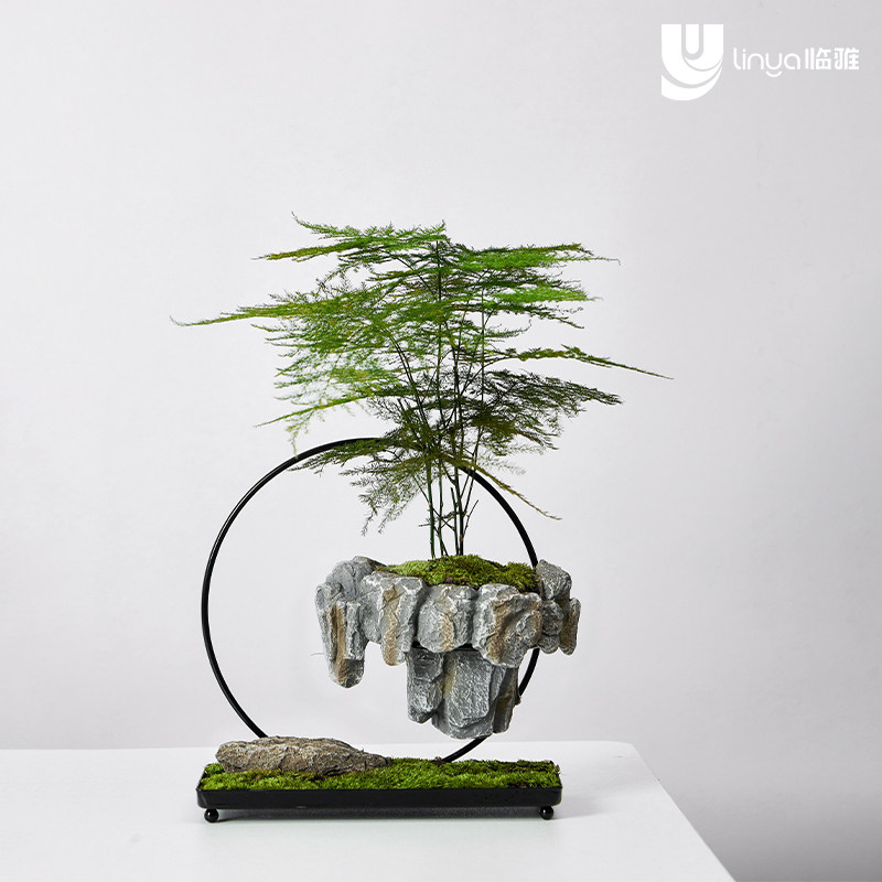 热销高端文竹盆栽植物室内入户玄C关艺术摆件办公室桌面绿植微景