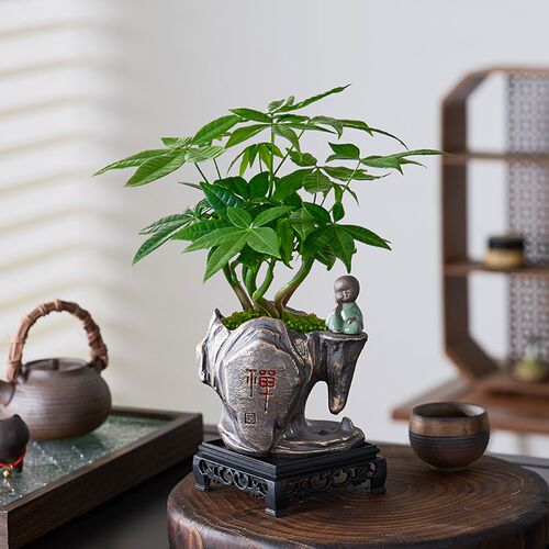 热销禅意风绿植奇趣发财树盆栽陶瓷F办公室客厅植物桌面盆景招财