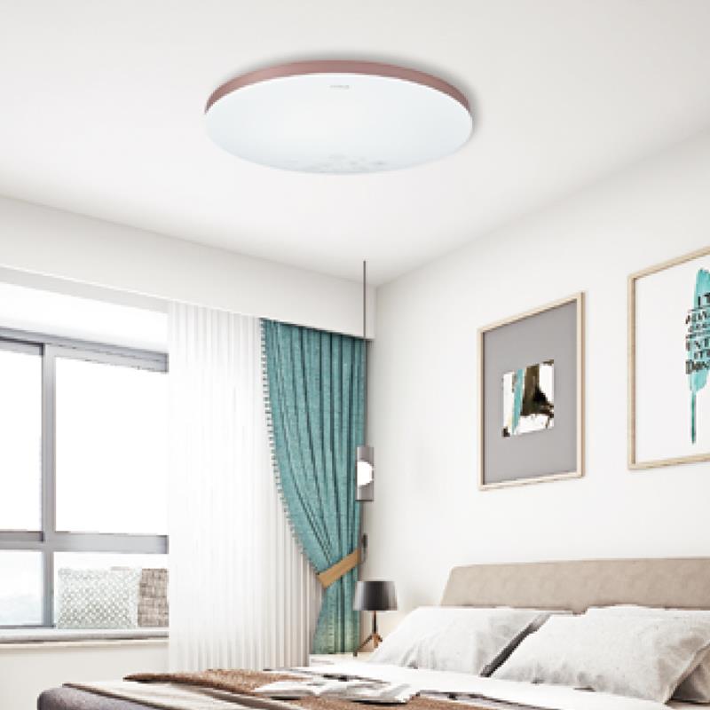 实体店同款吸顶灯具简约现代大气圆形卧室灯阳台过道厨卫灯 皓白