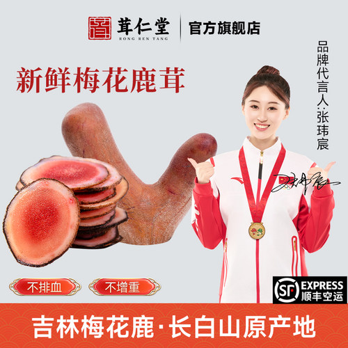 新鲜鹿茸整根带血梅花鹿茸片泡酒专用整枝鹿角头茬正品吉林中药材