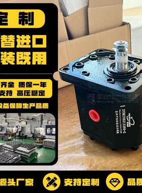 HENGYUHANG齿轮泵3PDF可替代DANFOSSMARZOCCHIRexroth液压油泵