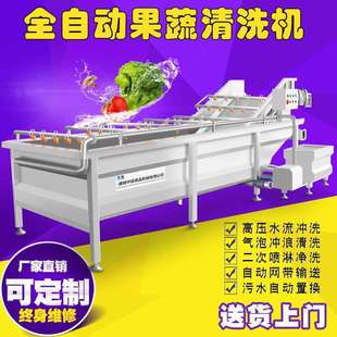 自动补水气泡过滤机鹿蕨菜清洗漂烫杀青线现货龙胆草清洗机