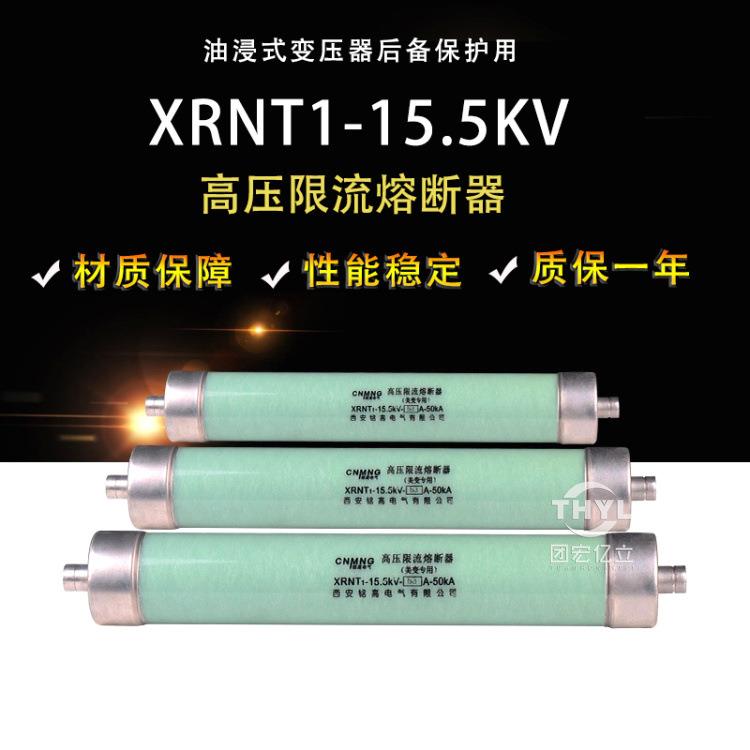XRNT1-15.5KV/150A175A200A50KA高压熔断器美式箱变用410*76mm