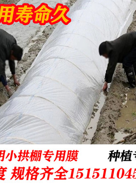 白色塑料薄膜小拱棚保温蔬菜大棚膜地膜防水塑料薄膜公路防护膜