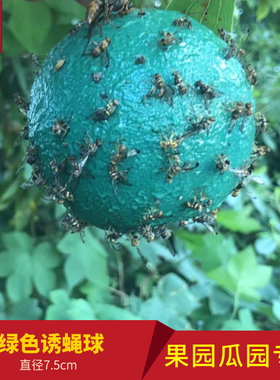瓜果实蝇板峰粘胶板绿色u黄色诱蝇球果园瓜虫粘虫针诱园板黄板