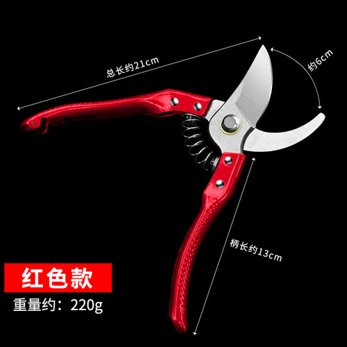 果树修枝剪刀园艺剪树枝剪盆景园林家用花艺进口省力摘果专用德国