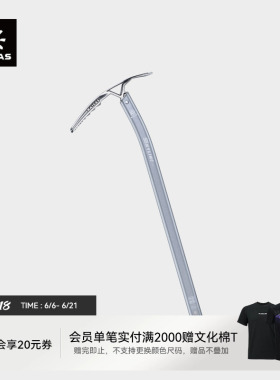 KAILAS凯乐石 Skyline Pro 天际线 技术登山冰镐65cm EI402D