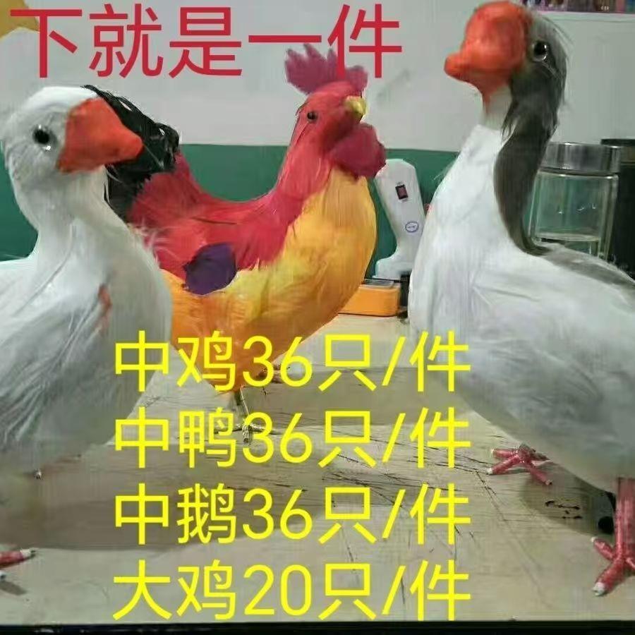 泡沫鸡鸭鹅鸽子全套家禽八只祭品纸扎全套殡葬宝烧七清明周年民俗
