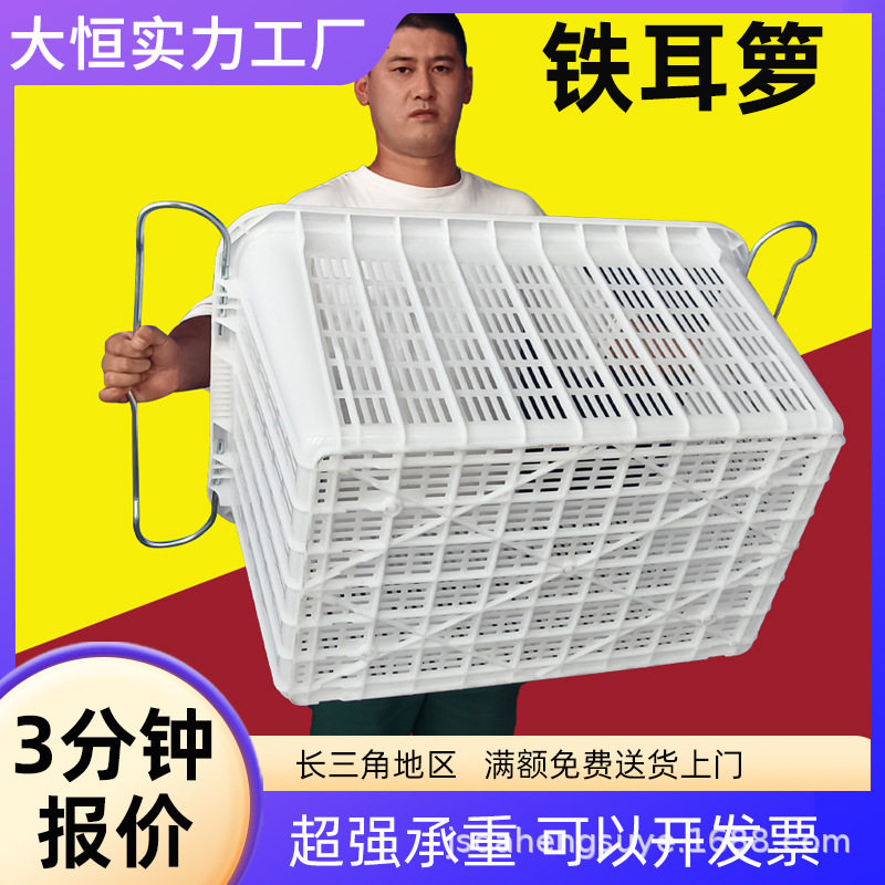 塑料筐加厚长方形镂空水果蔬菜卖菜胶框收纳箩筐塑料周转箩带铁耳