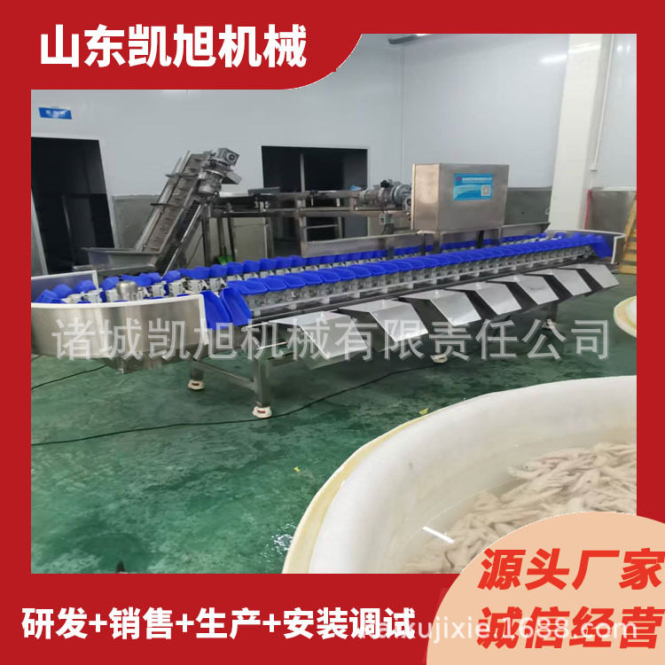 春笋自动称重分选机 水果糯玉米重量筛选分拣机 厂家直供售后无忧