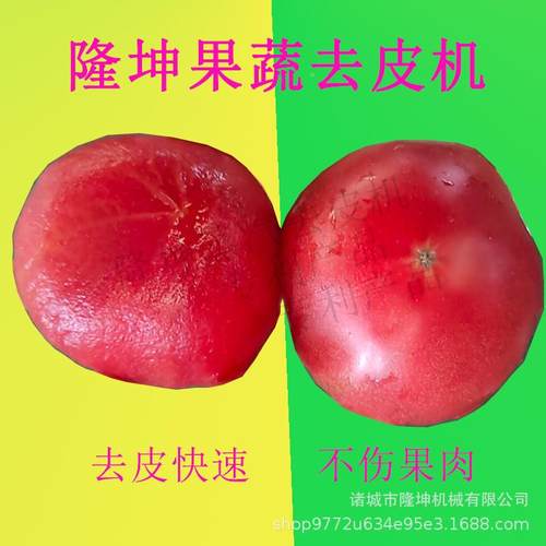 番茄酱加工水线流备 JNV西红马柿圣女果蒸汽去皮机 铃薯设红薯削