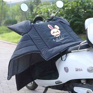 新品党风a电瓶车被冬天冬季骑车保暖神器挡风被防水冬款加大挡风