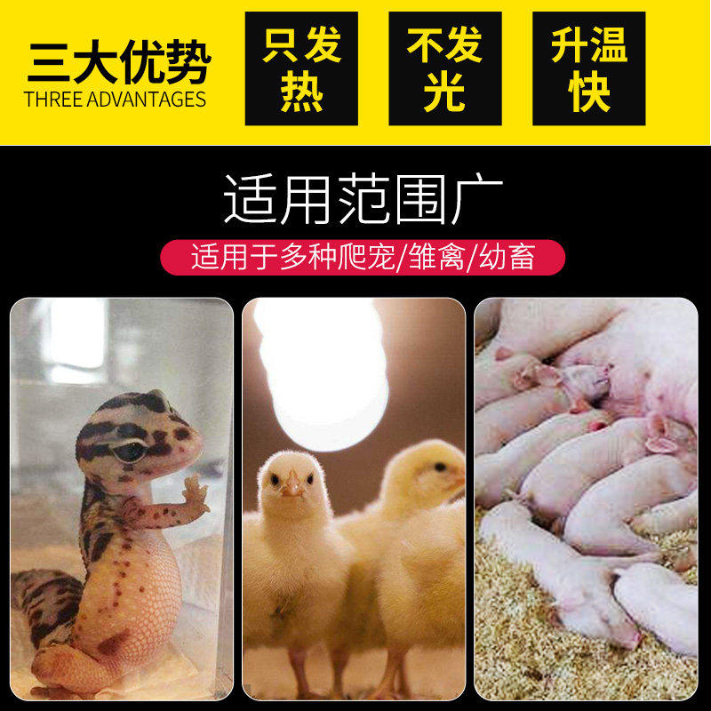 新品爬宠陶瓷加j热灯爬虫保温灯宠物刺猬乌龟陆龟蜥蜴红外温控无