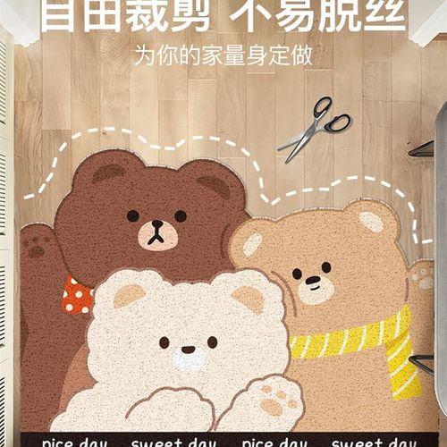 极速门口脚垫地垫子进门入户丝圈门垫耐脏蹭土耐磨家用.玄关地毯