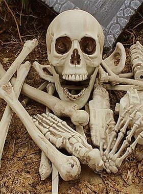 极速1 Scet Great Halloween Decorations Eye-catching Reusable