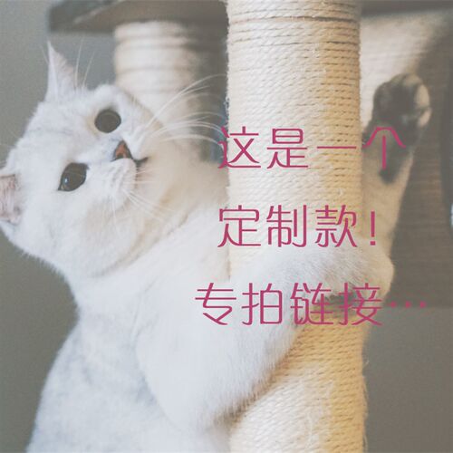 极速沐双小姐水晶 私人定制手链项D链 绿幽灵聚宝盆红纹石超七金