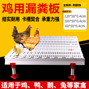 极速鸡笼a漏粪板鸡用鸡粪鸡舍塑料漏粪板小鸡鸭鹅鸽漏粪网养殖专