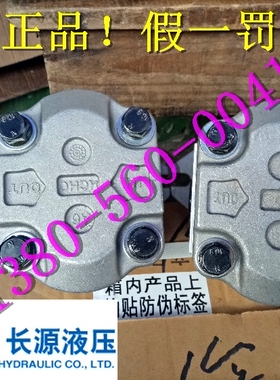 极速合长源液压  齿轮油泵 CBWS-E306-CFBS 液压泵 双Y向油泵 马