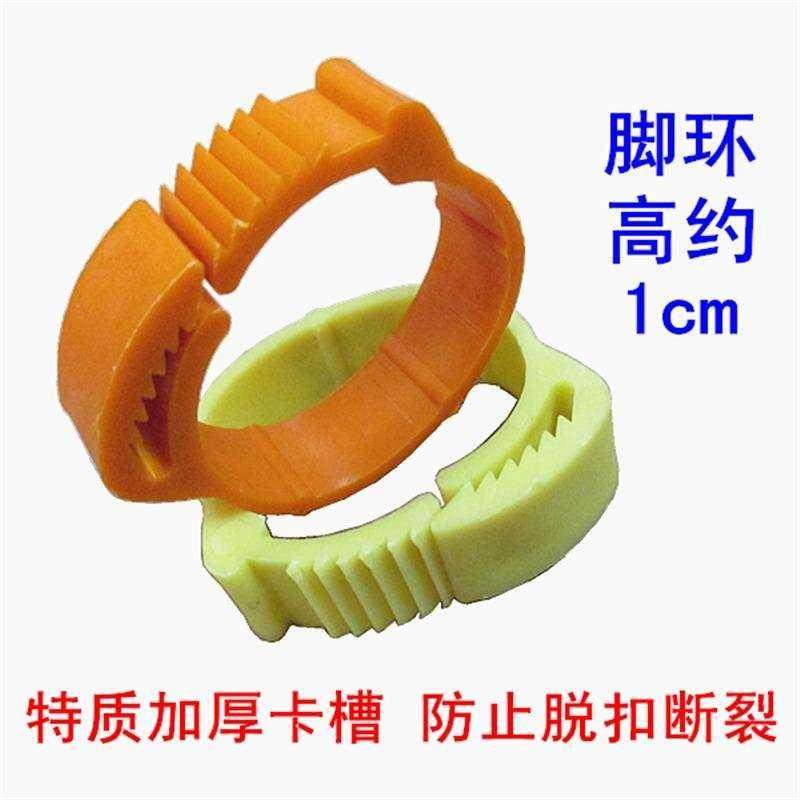 极速脚扣养d殖鸡脚环鸡用记号环脚链扣环订做标签种鸡鸭子号牌畜,畜牧/养殖物资,畜牧/养殖器械,淘宝优惠券,粉丝福利购,淘宝优惠卷