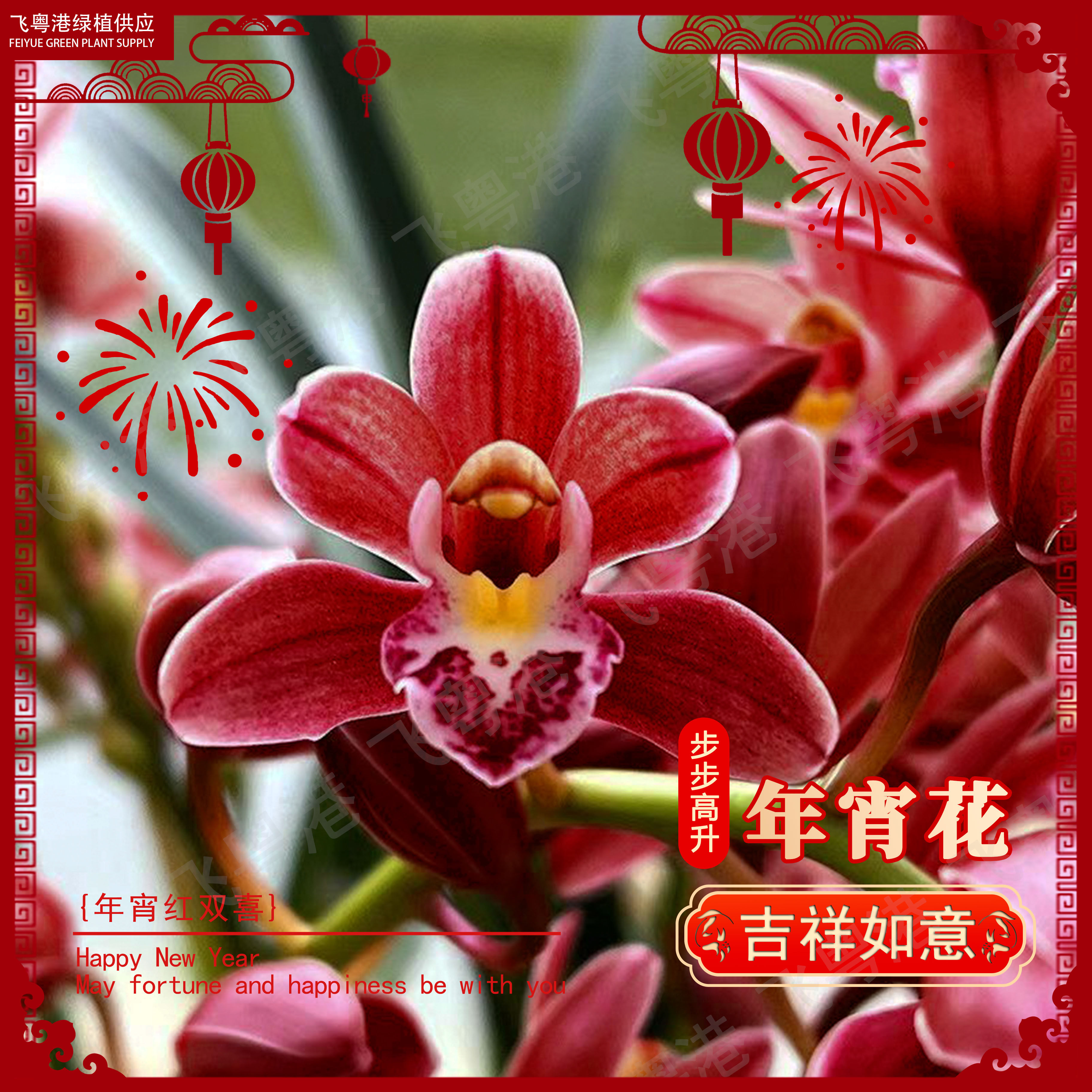 蕙兰【红双喜】带花苞兰花3-4支花剑起喜庆红花年宵花耐寒花期长,鲜花速递/花卉仿真/绿植园艺,国兰/杂交兰/洋兰类,淘宝优惠券,粉丝福利购,淘宝优惠卷