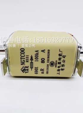飞灵NGTC00熔断器RS31保险丝管690V熔芯25A32A50A63A80A125A160A