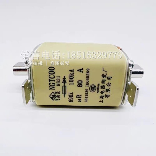 飞灵NGTC00熔断器RS31保险丝管690V熔芯25A32A50A63A80A125A160A