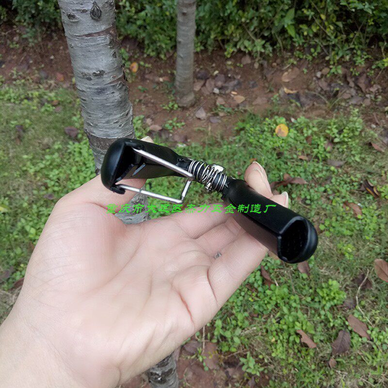 太子王专业修枝剪花剪剪刀铁柄剪修花剪树枝剪SK-5园林工具