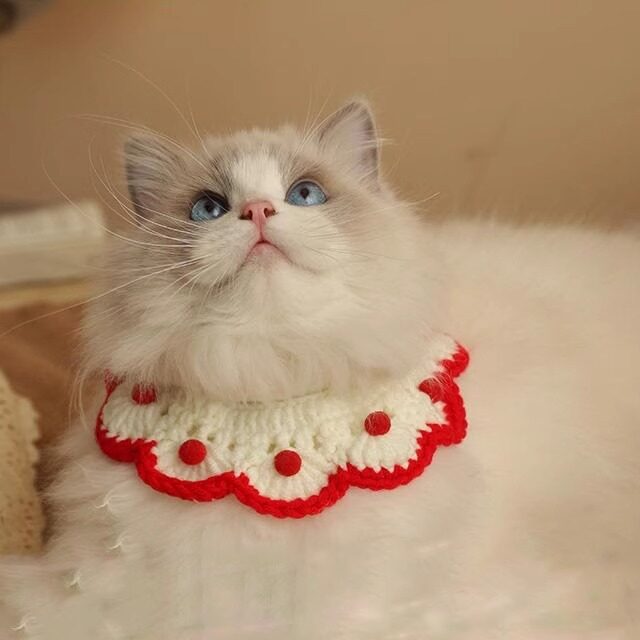 圣诞猫咪项圈项链小猫围脖子装饰品颈圈领结狗狗宠物脖圈猫猫项圈