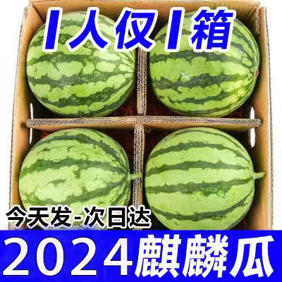 超甜正宗8424冰糖麒麟西瓜薄皮无籽黑籽美都当季西瓜新鲜水果整箱