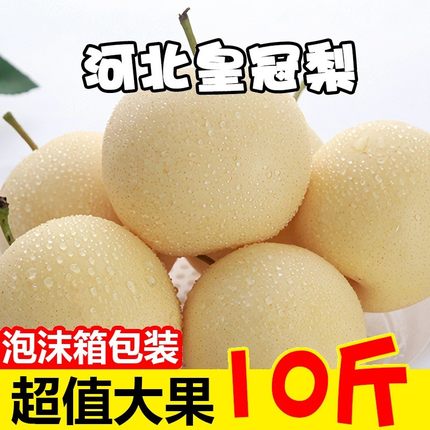 新鲜梨子河北正宗皇冠梨10斤梨应季水果脆甜多汁白梨整箱包邮雪梨