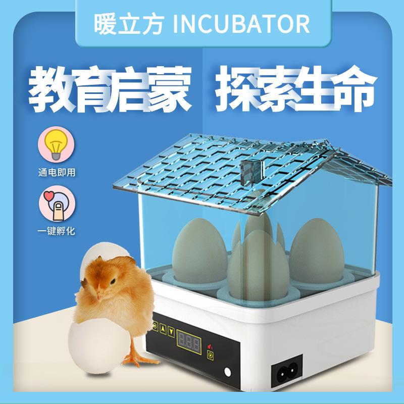 4枚小鸡孵化器小型家用型孵蛋器迷你全自动孵化机幼儿园孵化器
