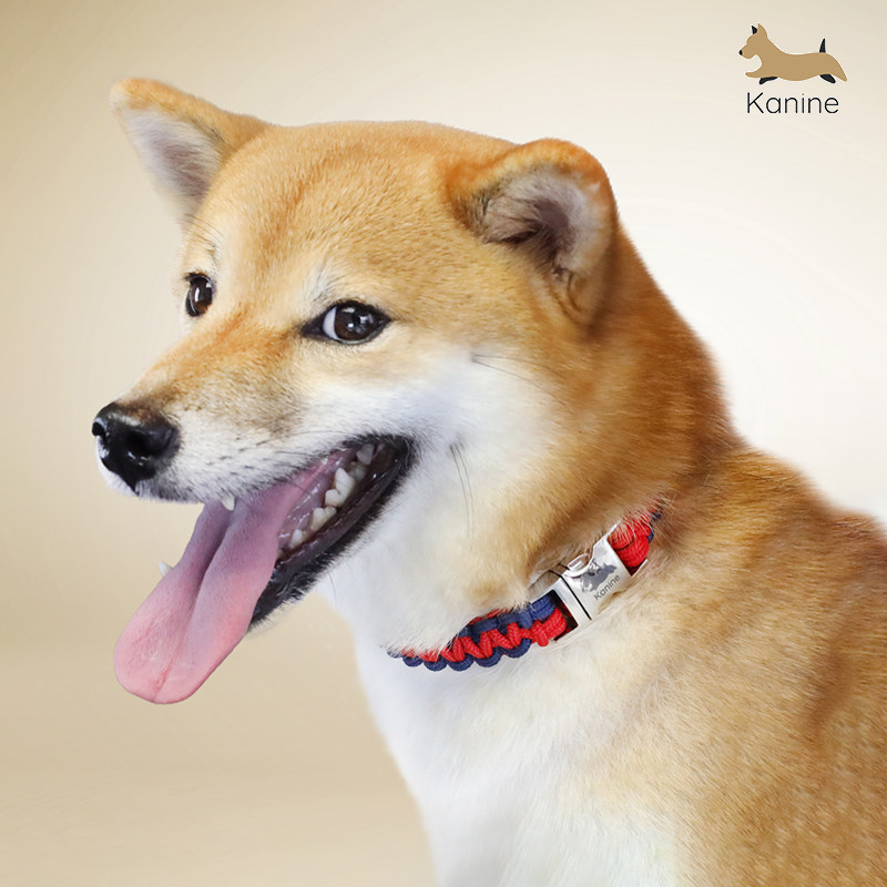 Kanine狗狗项链速扣编织项圈宠物脖圈亲肤牵引撞色颈圈中小型犬,宠物/宠物食品及用品,项圈/肩带,淘宝优惠券,粉丝福利购,淘宝优惠卷