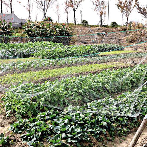新品绍兴夹夹网老式月亮网挑网擡鱼竹F竿网弹网夹游丝强盗网捕鱼