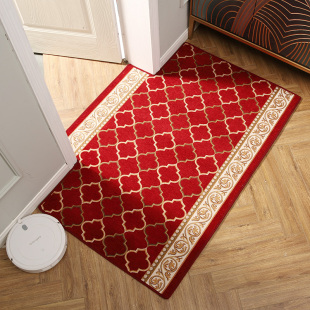 mat 极速Simple carpet entrance household flioor door