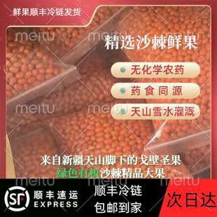 双十二特惠新疆兵团特产富硒沙棘鲜果买4斤送一斤，冷冻发货
