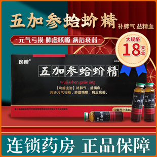 五加参蛤蚧精口服液逸诺补肺气 10ml*18支益精血元气亏官方旗舰店