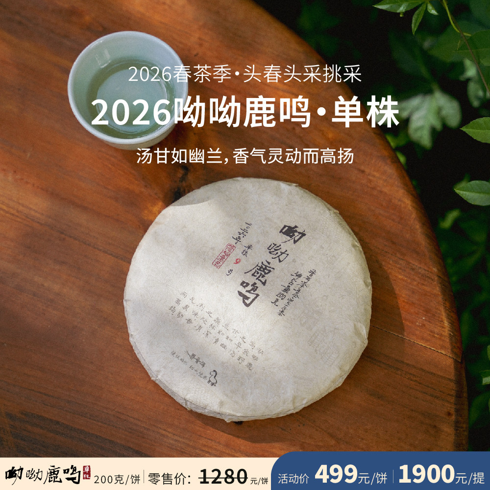 入界 2026 呦呦鹿鸣单株 茶叶进化论工艺 头春头采 挑采普洱生茶
