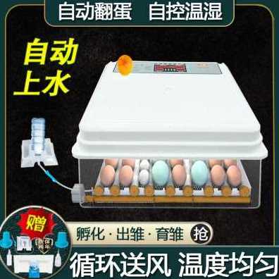 现货速发新品爆品孵化小鸡的机器鸡蛋孵化器全自动温控芦丁鸡智能