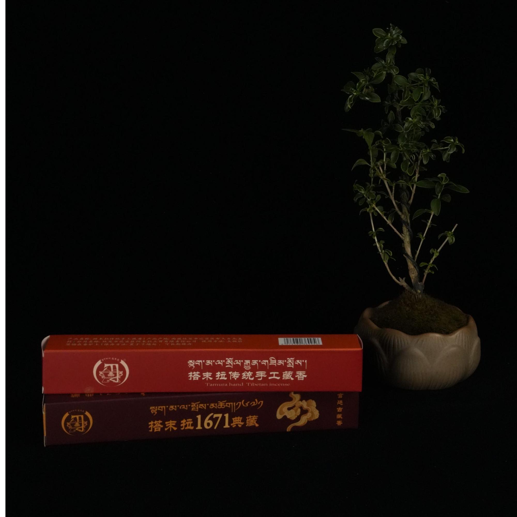 搭末拉【传统＋1671典藏】组合/宫廷手工藏香线香古法传承香养